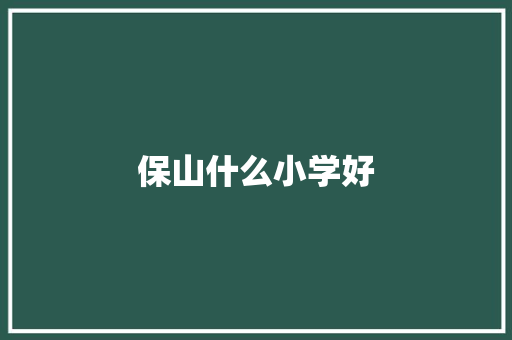保山什么小学好