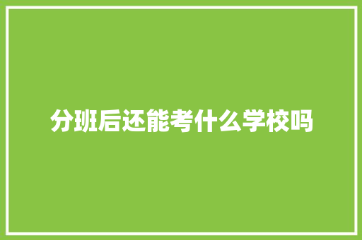 分班后还能考什么学校吗