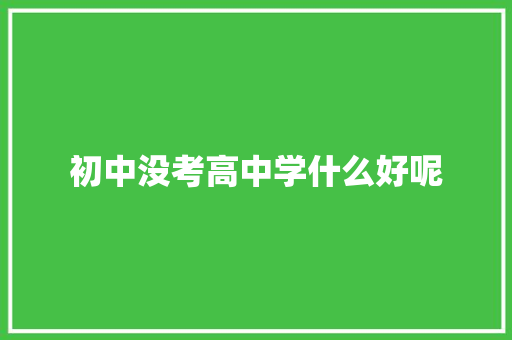 初中没考高中学什么好呢