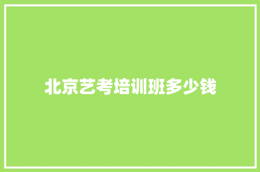 北京艺考培训班多少钱