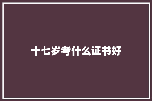 十七岁考什么证书好 词汇积累