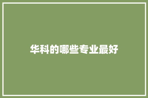 华科的哪些专业最好
