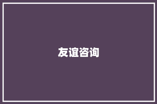 友谊咨询