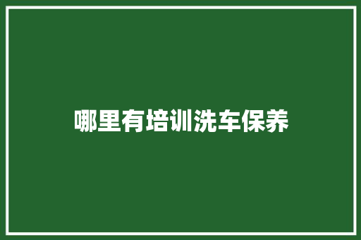 哪里有培训洗车保养