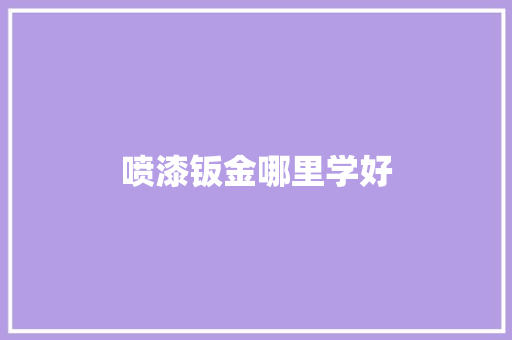 喷漆钣金哪里学好