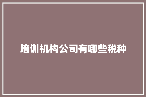 培训机构公司有哪些税种