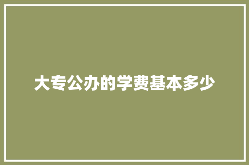 大专公办的学费基本多少