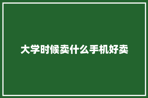 大学时候卖什么手机好卖