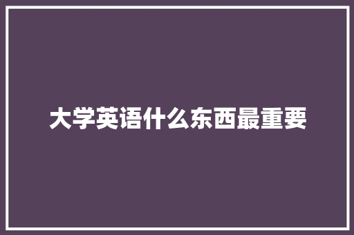 大学英语什么东西最重要