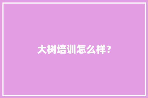 大树培训怎么样？