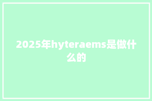 2025年hyteraems是做什么的