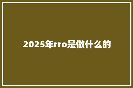 2025年rro是做什么的