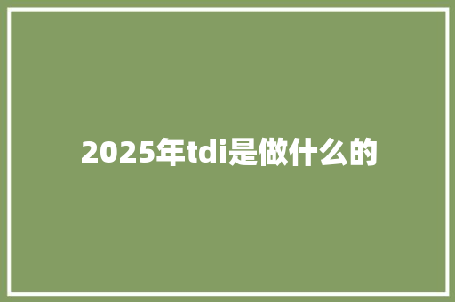 2025年tdi是做什么的