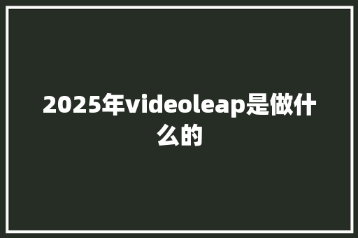 2025年videoleap是做什么的