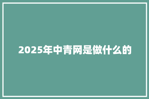 2025年中青网是做什么的