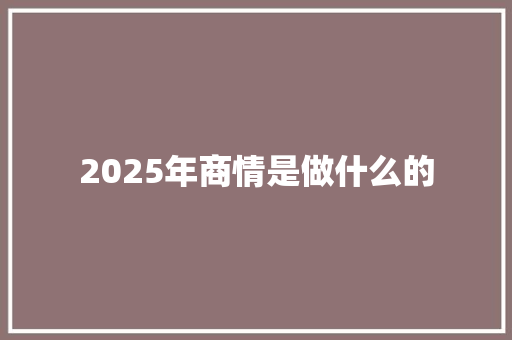 2025年商情是做什么的