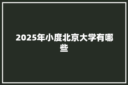 2025年小度北京大学有哪些