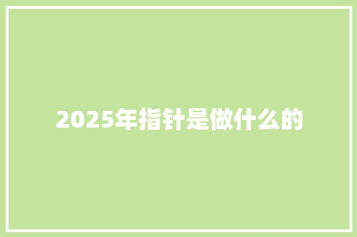 2025年指针是做什么的