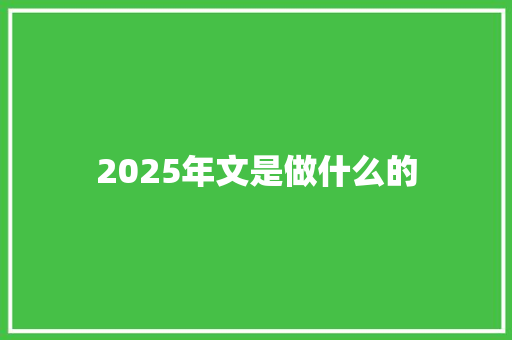 2025年文是做什么的