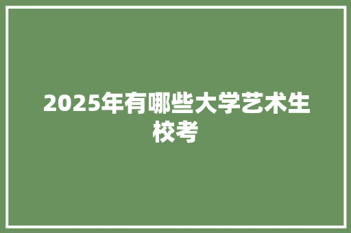 2025年有哪些大学艺术生校考