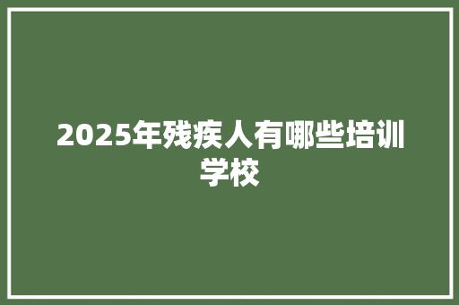 2025年残疾人有哪些培训学校
