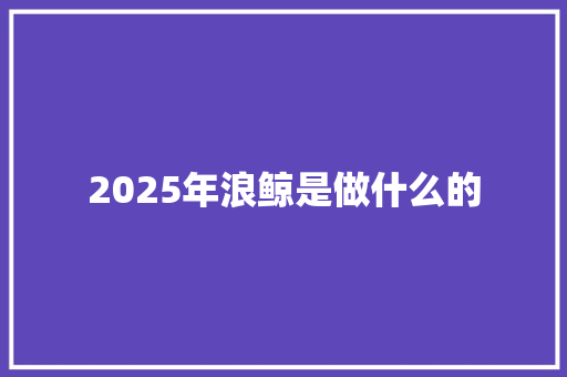 2025年浪鲸是做什么的