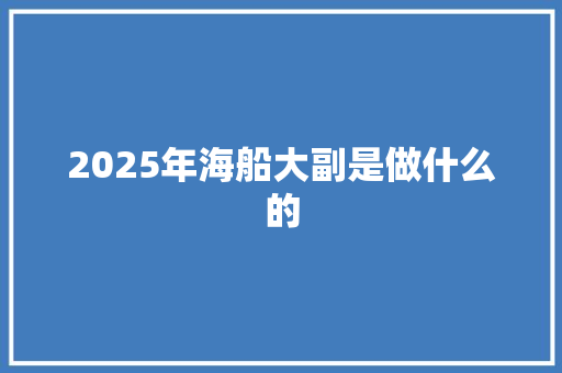 2025年海船大副是做什么的