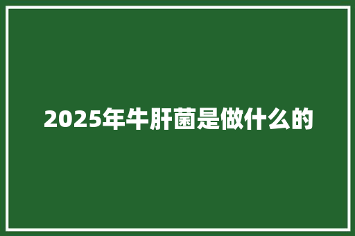 2025年牛肝菌是做什么的