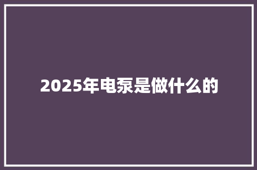 2025年电泵是做什么的