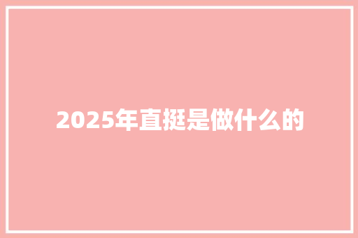 2025年直挺是做什么的