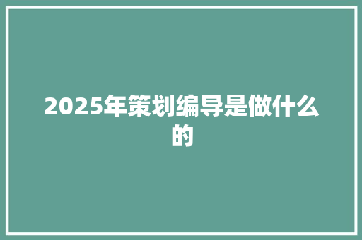 2025年策划编导是做什么的