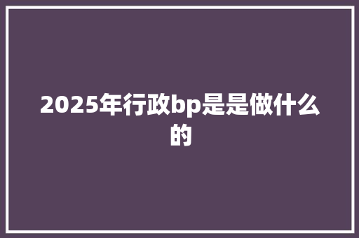 2025年行政bp是是做什么的
