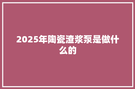 2025年陶瓷渣浆泵是做什么的
