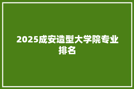 2025成安造型大学院专业排名