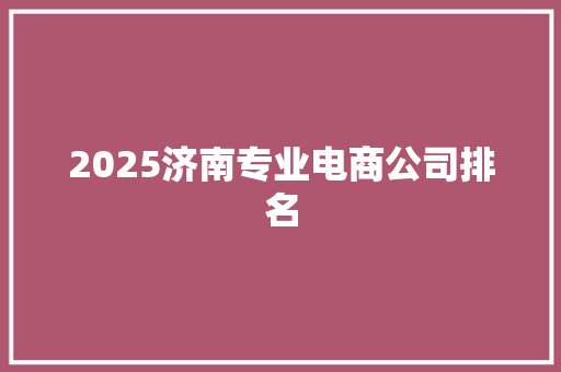 2025济南专业电商公司排名