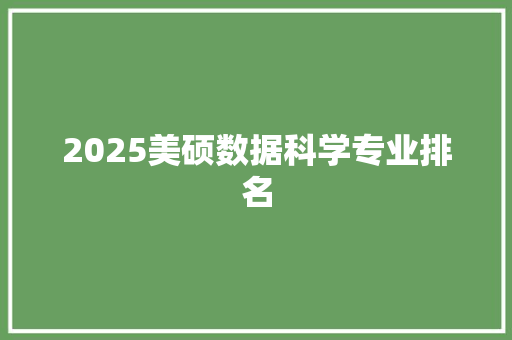 2025美硕数据科学专业排名