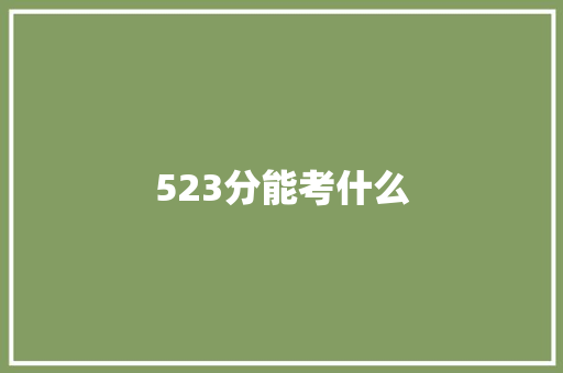 523分能考什么