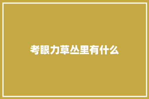 考眼力草丛里有什么