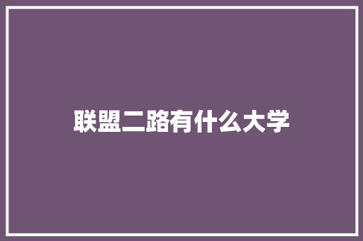 联盟二路有什么大学