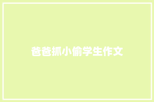 爸爸抓小偷学生作文