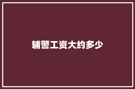 辅警工资大约多少