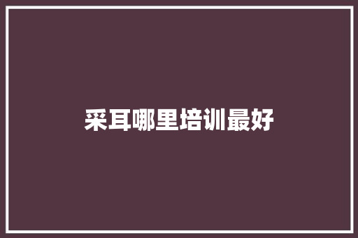 采耳哪里培训最好