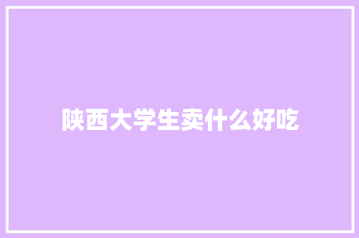 陕西大学生卖什么好吃