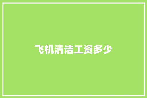 飞机清洁工资多少