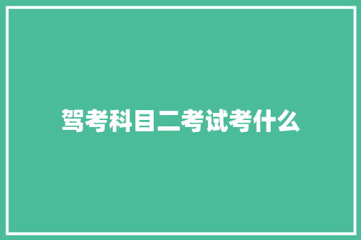 驾考科目二考试考什么