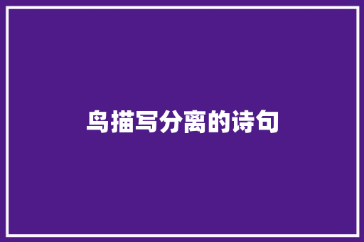 鸟描写分离的诗句