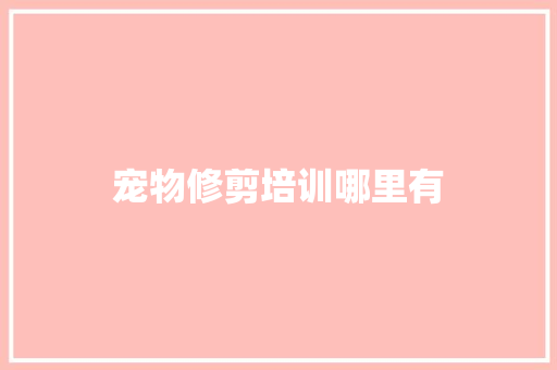 宠物修剪培训哪里有 简历模板