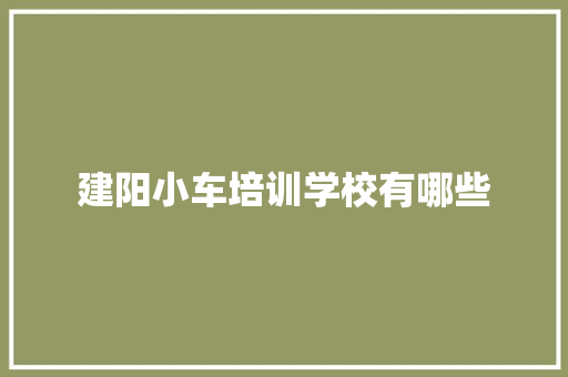 建阳小车培训学校有哪些