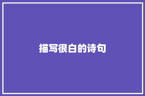 描写很白的诗句