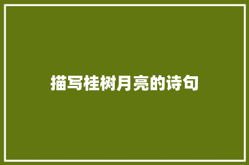 描写桂树月亮的诗句